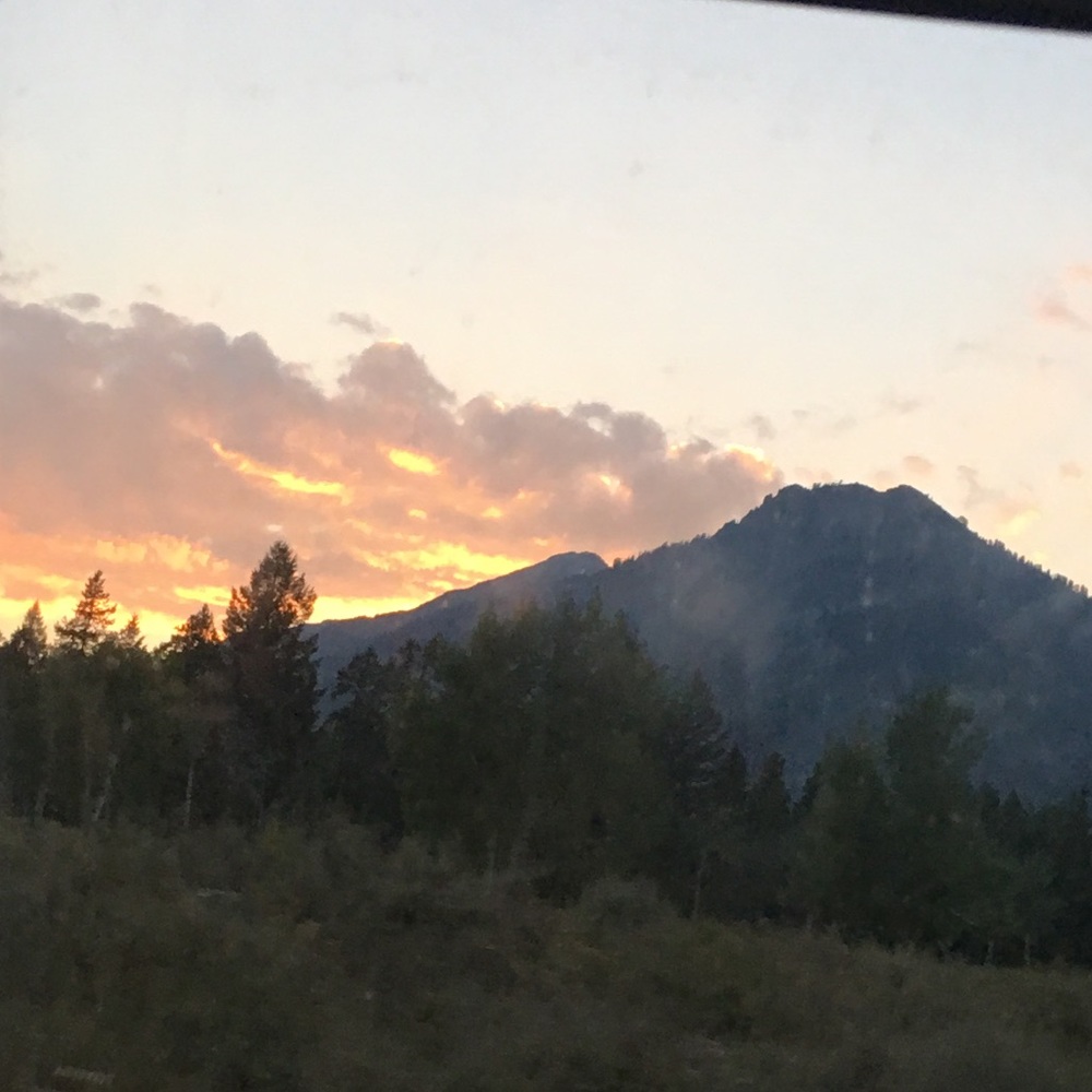 Meet your Posher, Naomi